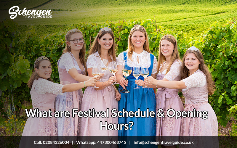 Rheingau Wine Festival in Germany